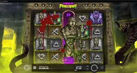 Undead Fortune Funksjon