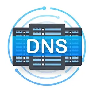 Dns