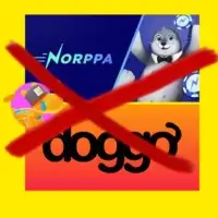 doggo og norppa casino konkurs stenger