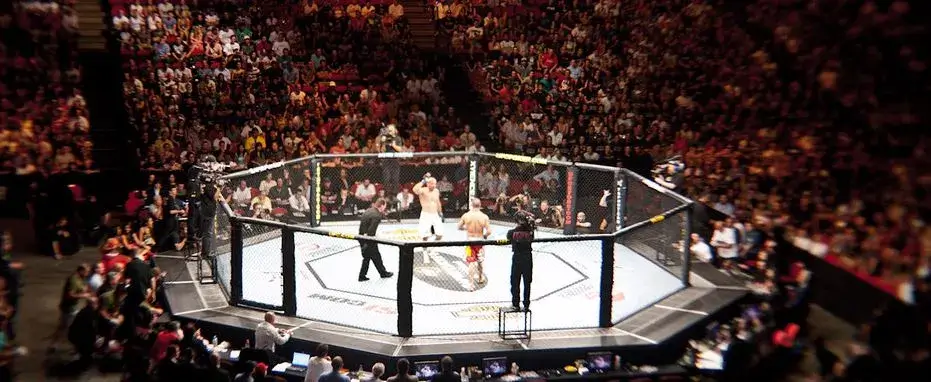Ufc Ringen