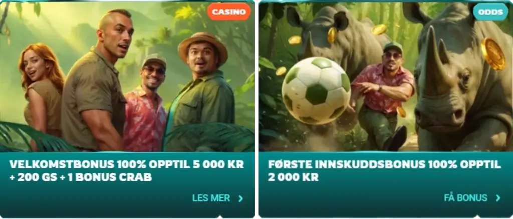 Aktiver bonusen manuelt