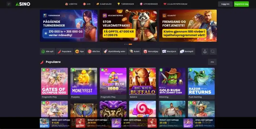 Asino sin norske startside