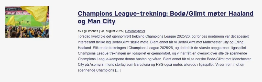 Champions League Haaland