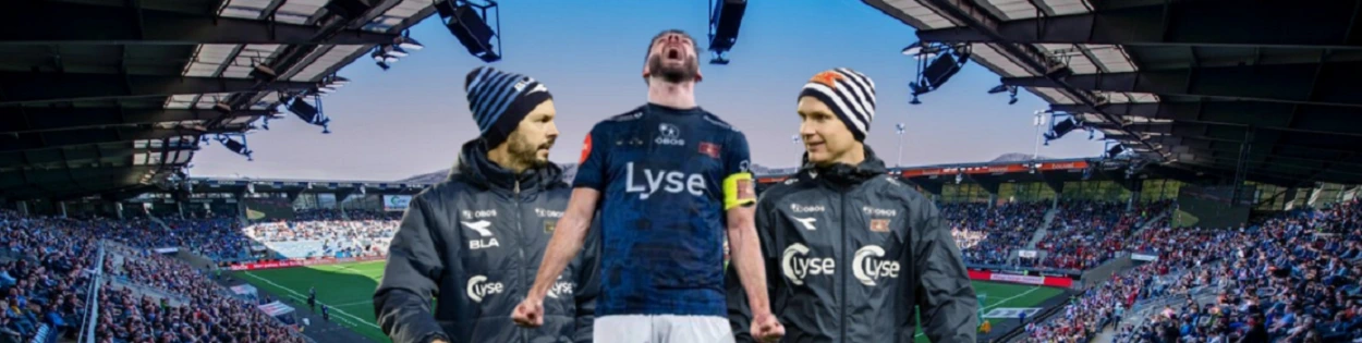 Viking seriegull
