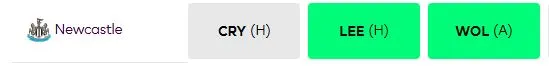 Newcastle Gw Fpl
