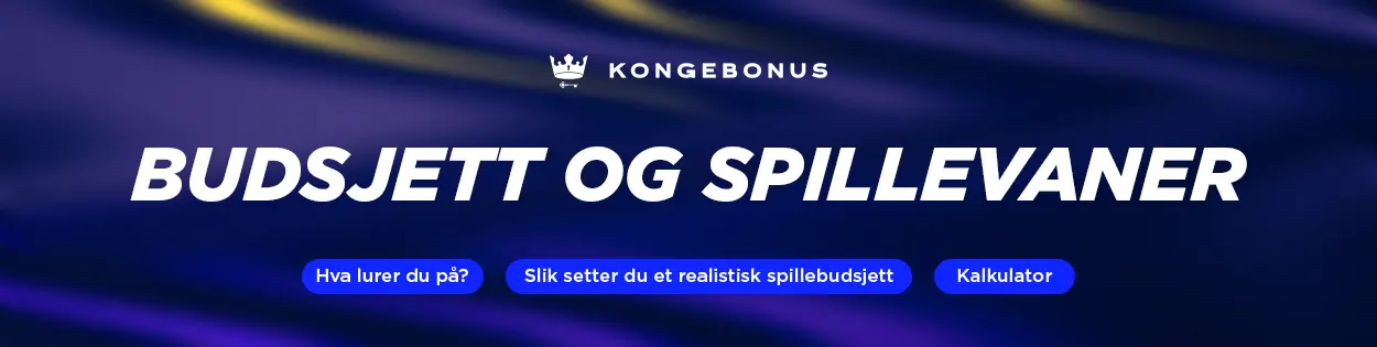 Budsjett Spillevaner Banner