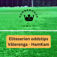 Oddstips Eliteserien Vålerenga HamKam